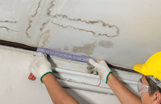 Reliable Structural Drying contractor in Strasburg, VA by Water Damage Irwin